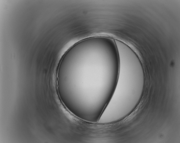 X0000091561054200708171057