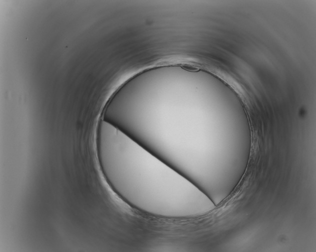 X0000091561055200708171057