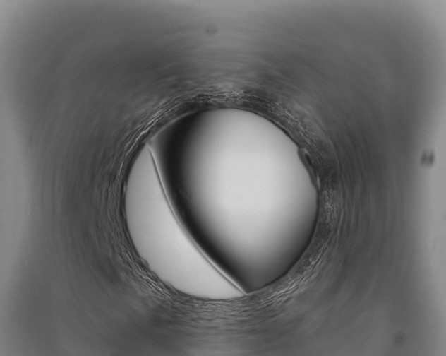 X0000091561057200708171056