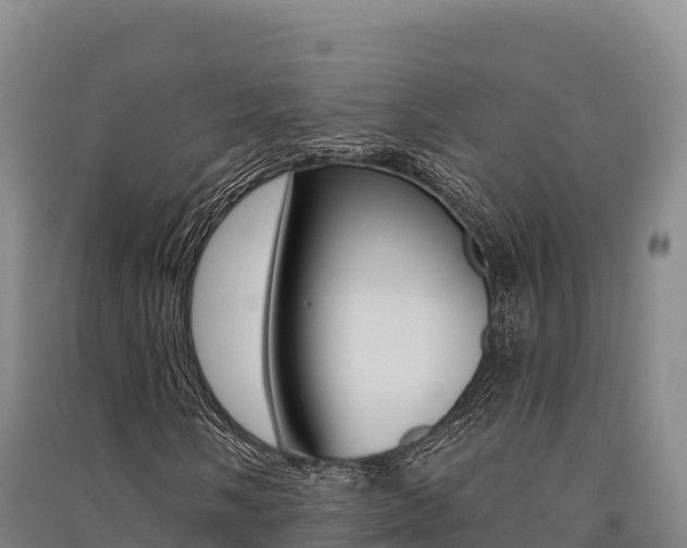 X0000091561058200708171056