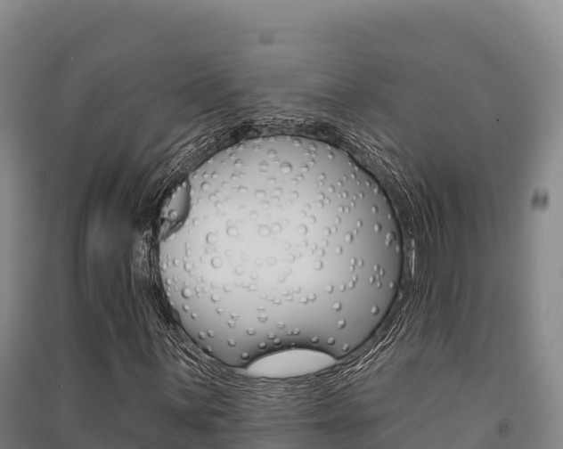 X0000091561059200708171056