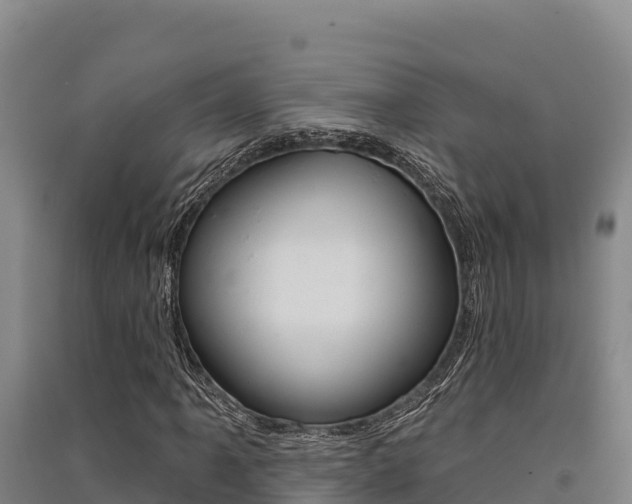 X0000091561061200708171056