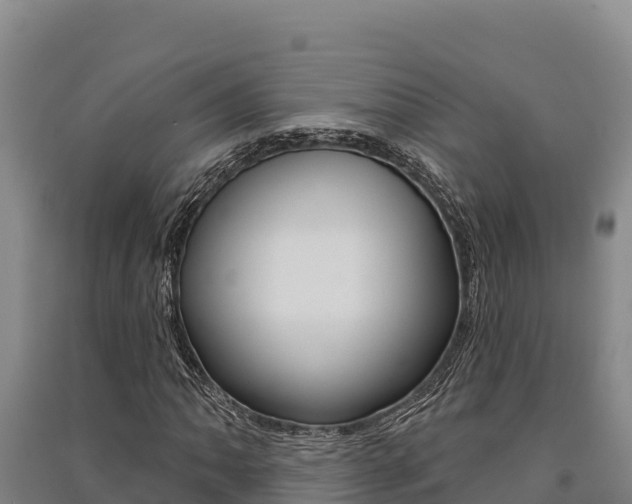 X0000091561062200708171056