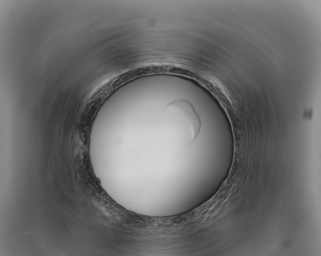 X0000091561064200708171056