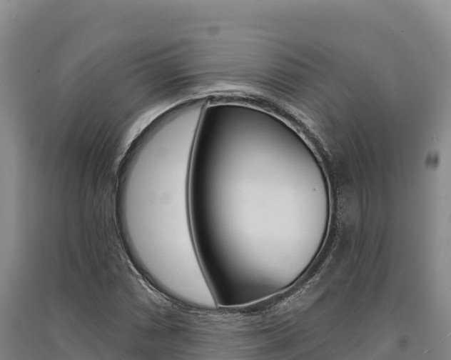 X0000091561066200708171056