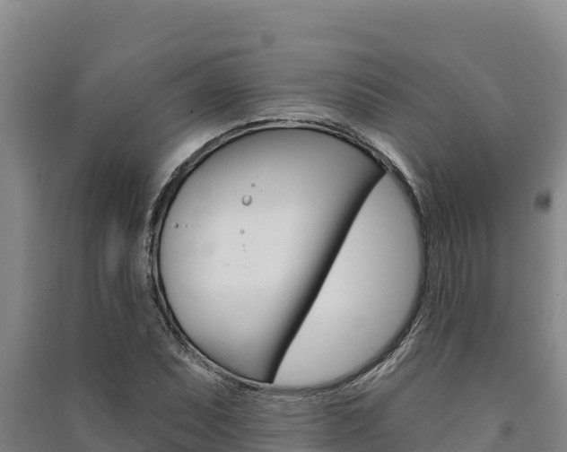 X0000091561071200708171056