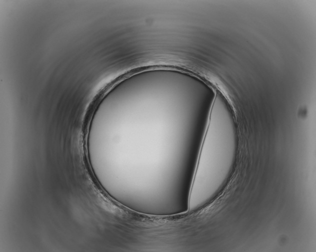 X0000091561072200708171056
