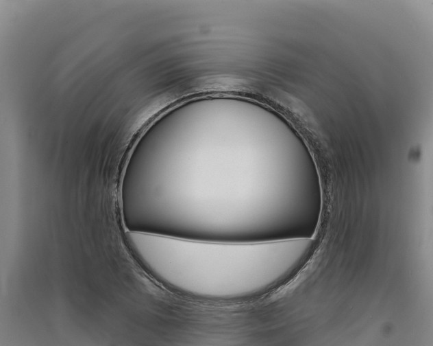 X0000091561073200708171056
