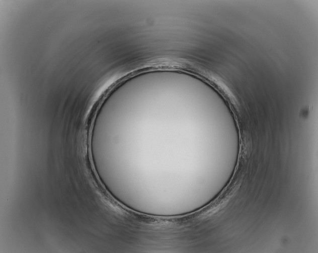 X0000091561075200708171056
