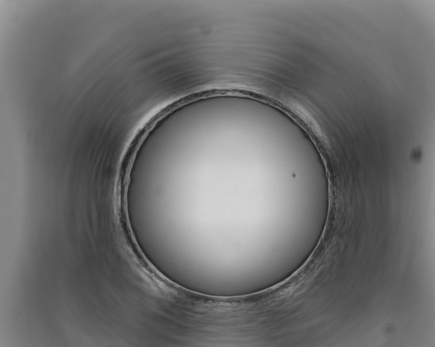 X0000091561076200708171056