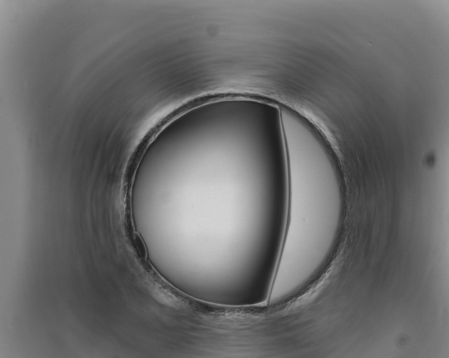 X0000091561077200708171056