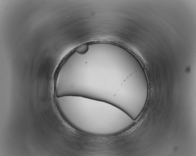 X0000091561079200708171056