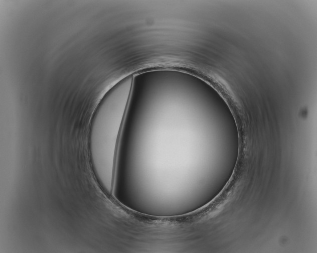 X0000091561081200708171056