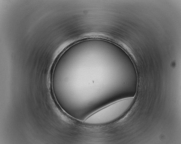 X0000091561082200708171056