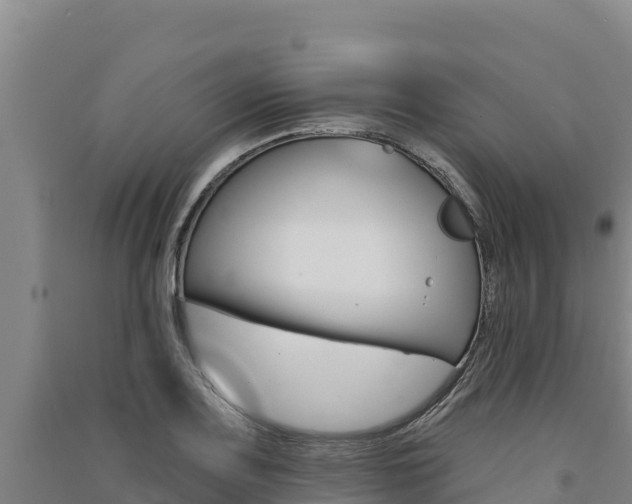 X0000091561083200708171056
