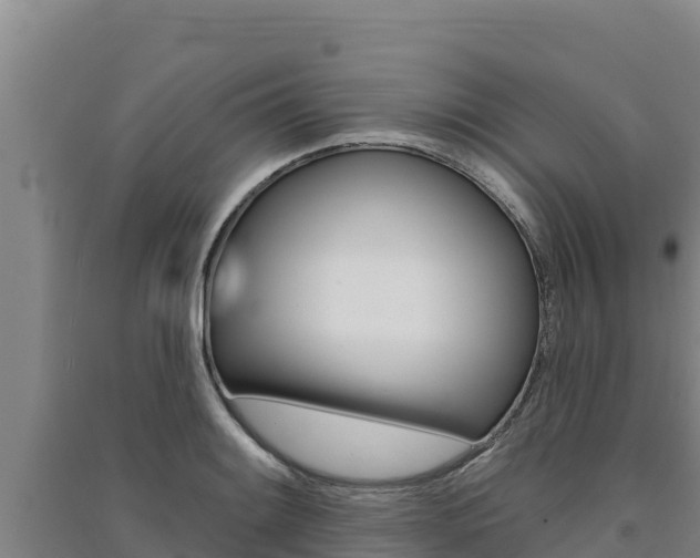 X0000091561084200708171056