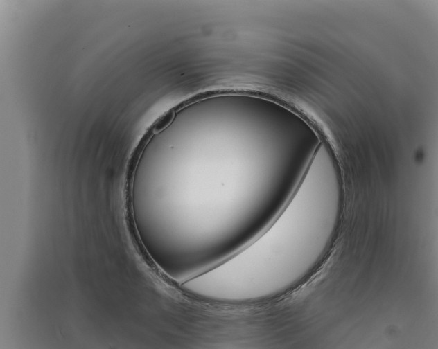 X0000091561085200708171056