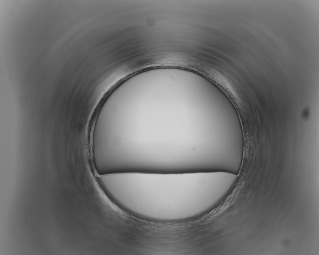 X0000091561087200708171056