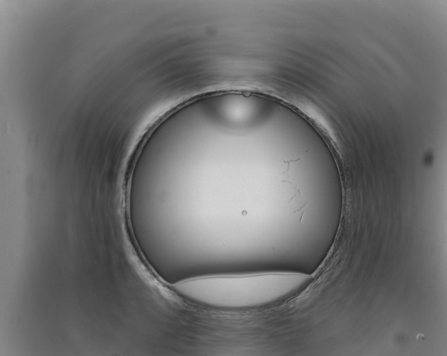 X0000091561088200708171056