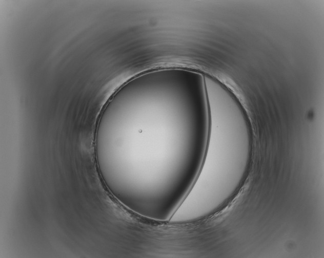 X0000091561089200708171056