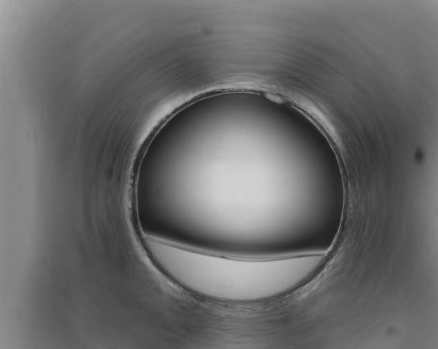 X0000091561093200708171056