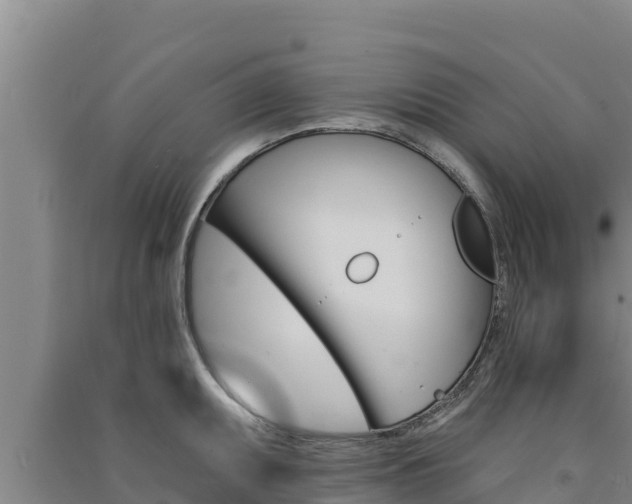 X0000091561095200708171056