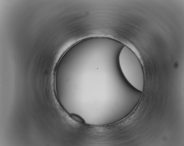 X0000091561096200708171056