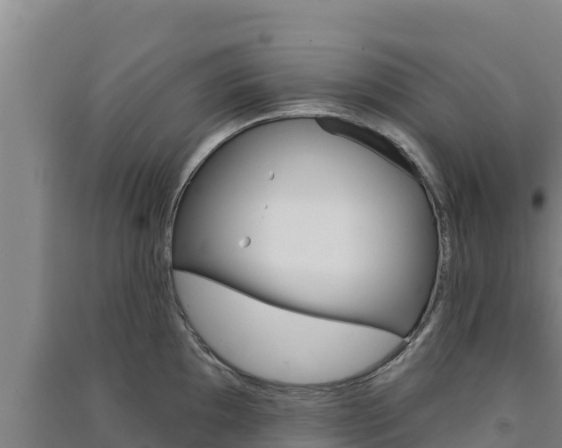 X0000091561097200708171056