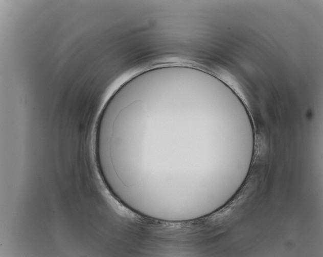 X0000091561098200708171056