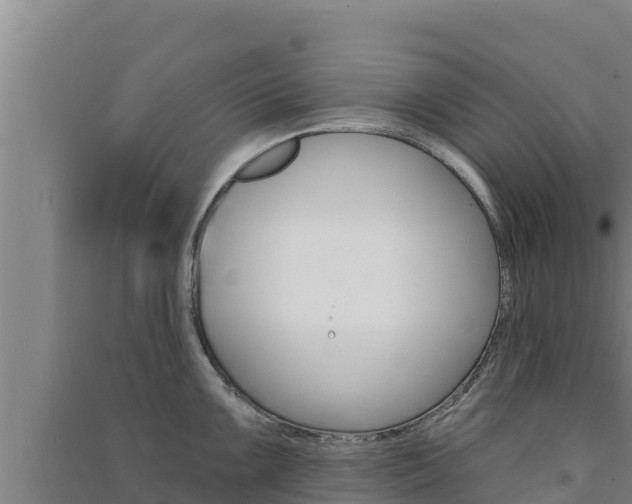 X0000091561099200708171056