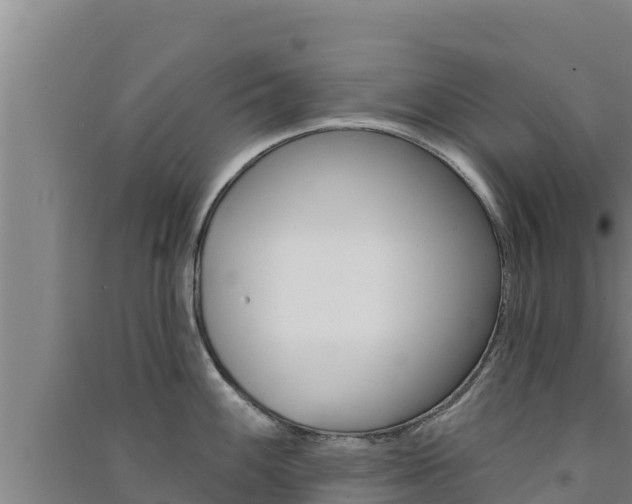 X0000091561100200708171056