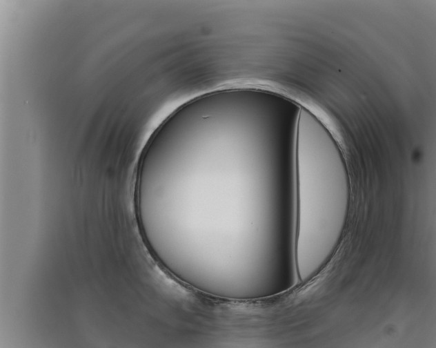 X0000091561102200708171056