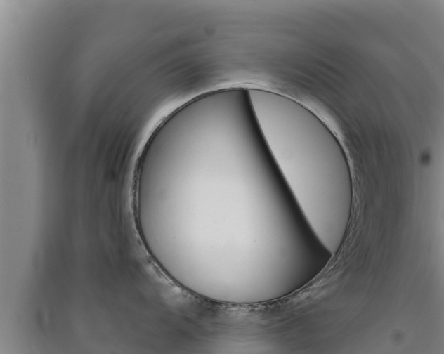X0000091561104200708171056