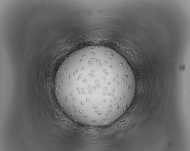 X0000091561105200708171055