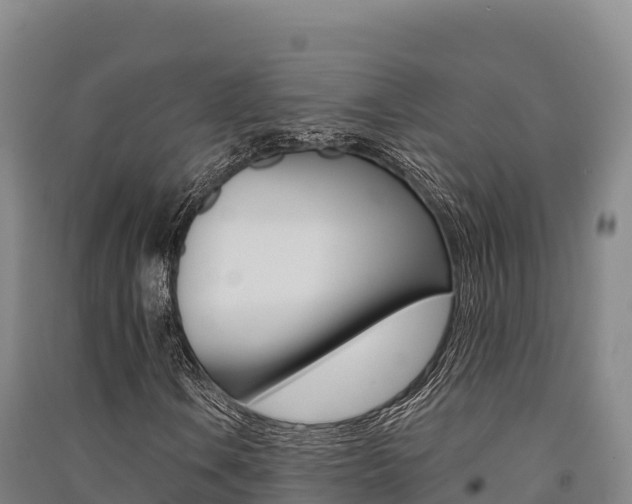 X0000091561106200708171055