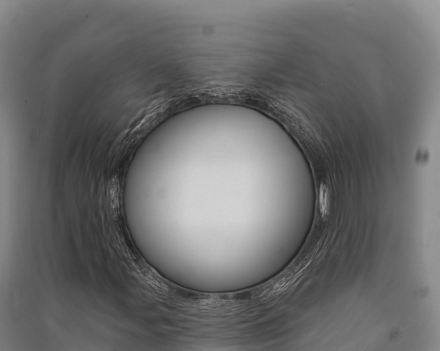 X0000091561107200708171055