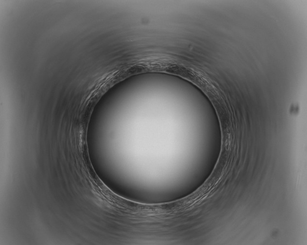 X0000091561108200708171055