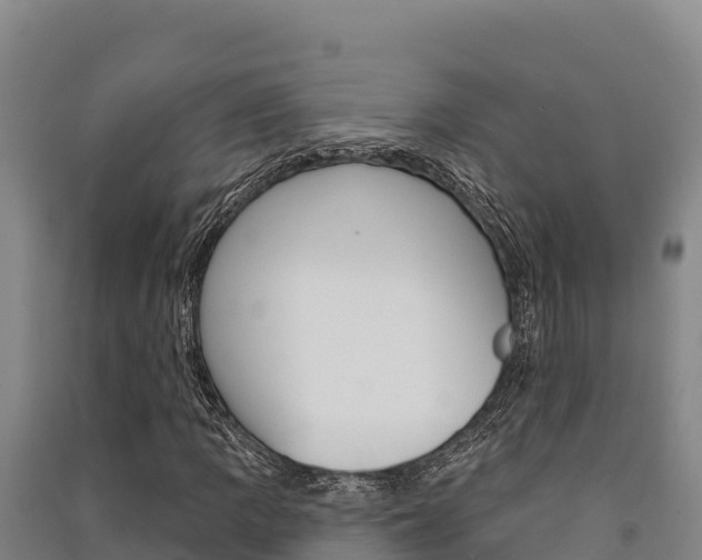 X0000091561109200708171055