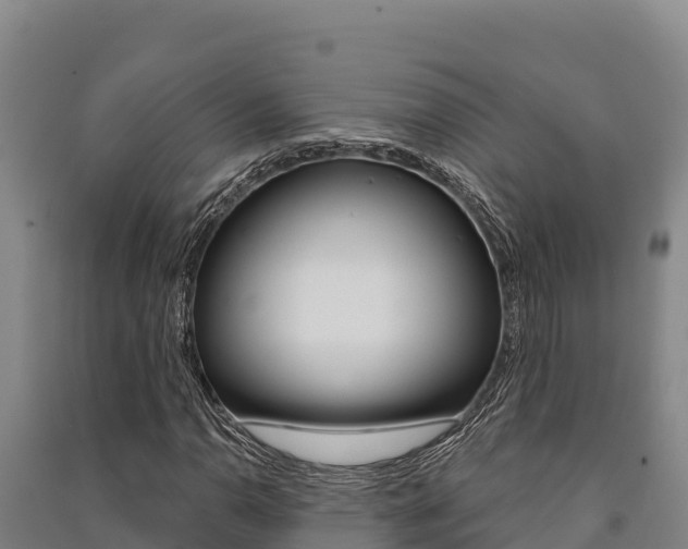 X0000091561110200708171055