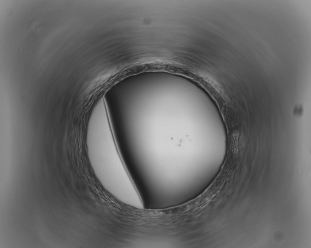 X0000091561111200708171055