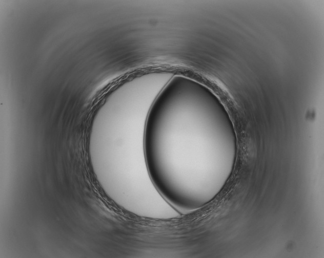 X0000091561112200708171055