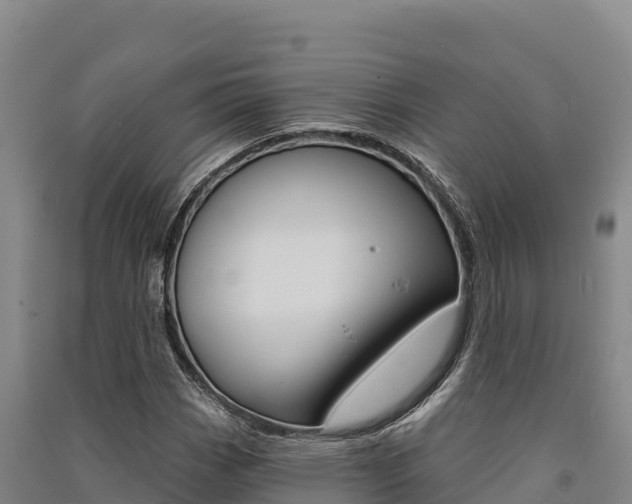 X0000091561113200708171055
