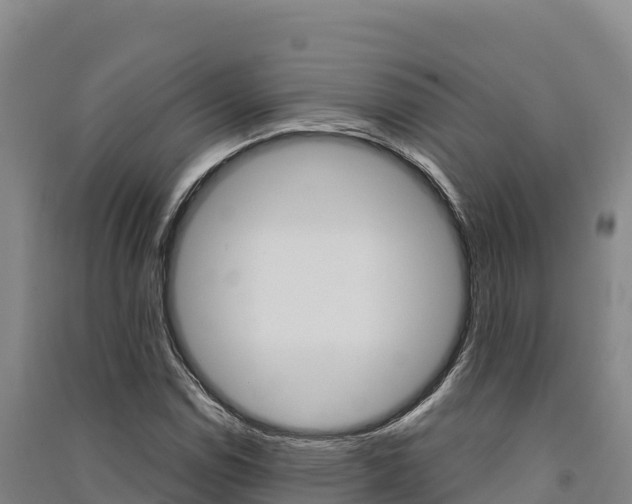 X0000091561114200708171055