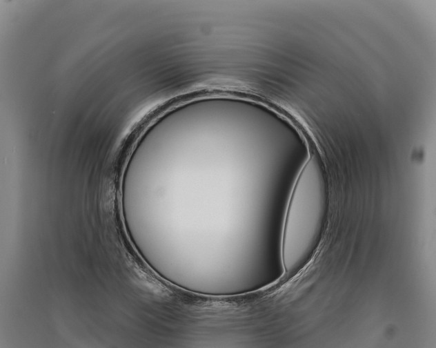 X0000091561115200708171055