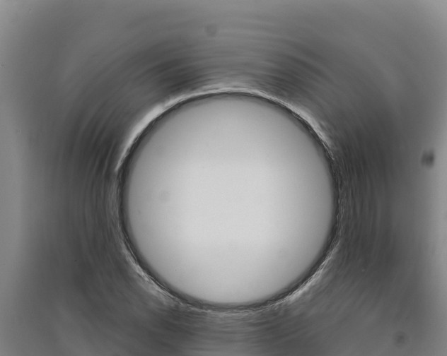 X0000091561118200708171055