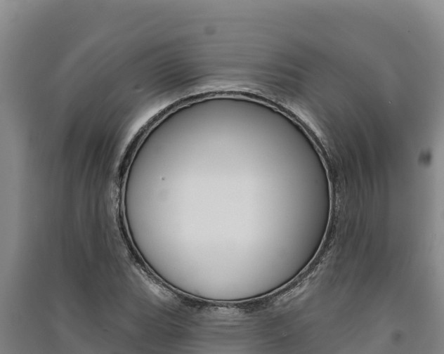 X0000091561119200708171055