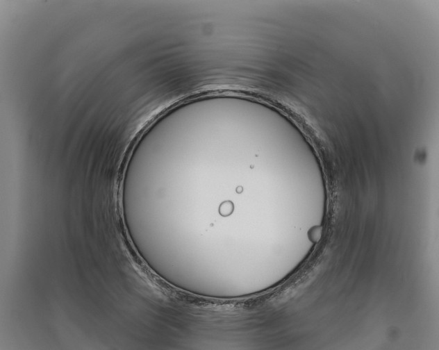 X0000091561121200708171056