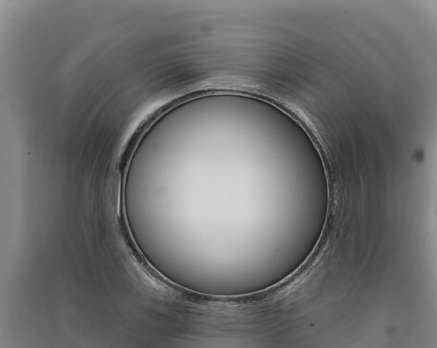 X0000091561123200708171056
