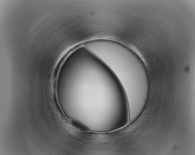 X0000091561124200708171056