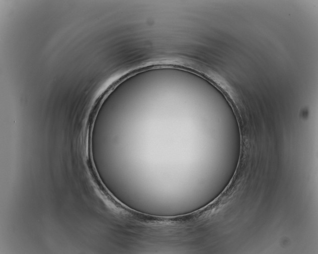 X0000091561127200708171056